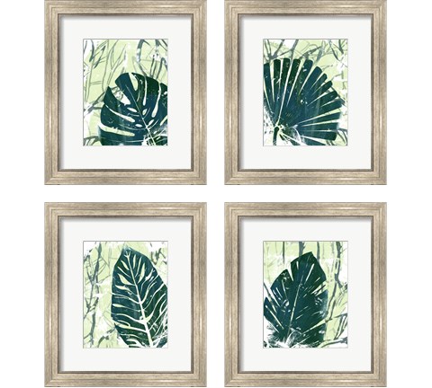Palm Pastiche 4 Piece Framed Art Print Set by June Erica Vess