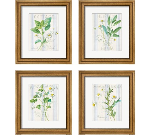 Floursack Herbs 4 Piece Framed Art Print Set by Danhui Nai