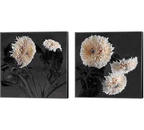 Sunflowers 2 Piece Canvas Print Set by Shelley Lake