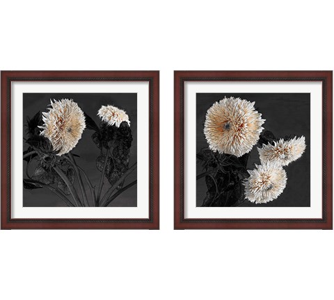 Sunflowers 2 Piece Framed Art Print Set by Shelley Lake