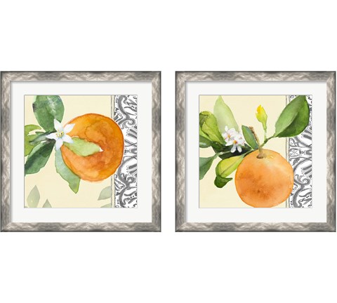 Orange Blossoms 2 Piece Framed Art Print Set by Lanie Loreth
