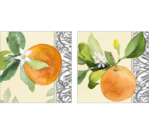 Orange Blossoms 2 Piece Art Print Set by Lanie Loreth