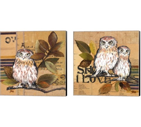 Little Owls 2 Piece Canvas Print Set by Patricia Pinto