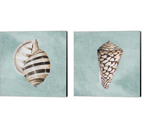 Modern Shell on Teal 2 Piece Canvas Print Set by Patricia Pinto