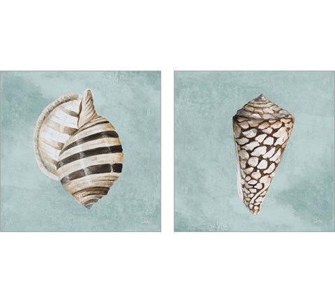 Modern Shell on Teal 2 Piece Art Print Set by Patricia Pinto