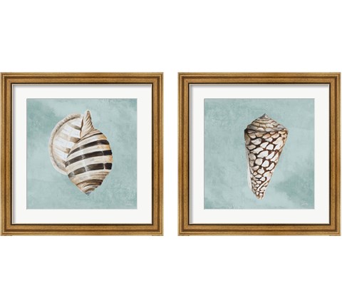 Modern Shell on Teal 2 Piece Framed Art Print Set by Patricia Pinto