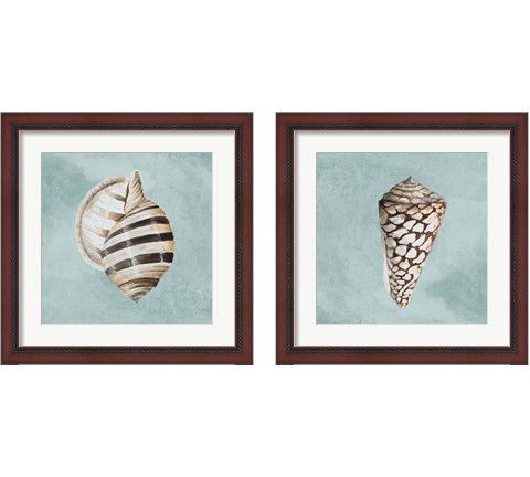 Modern Shell on Teal 2 Piece Framed Art Print Set by Patricia Pinto