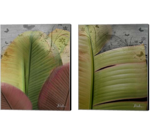 Butterfly Palm 2 Piece Canvas Print Set by Patricia Pinto