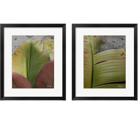 Butterfly Palm 2 Piece Framed Art Print Set by Patricia Pinto