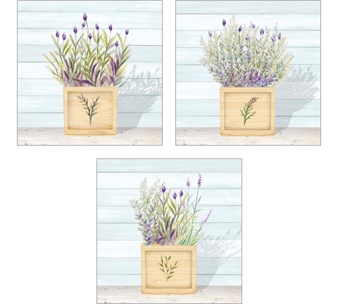Lavender and Wood Square 3 Piece Art Print Set by Janice Gaynor