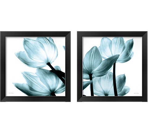 Translucent Tulips 2 Piece Framed Art Print Set by Debra Van Swearingen