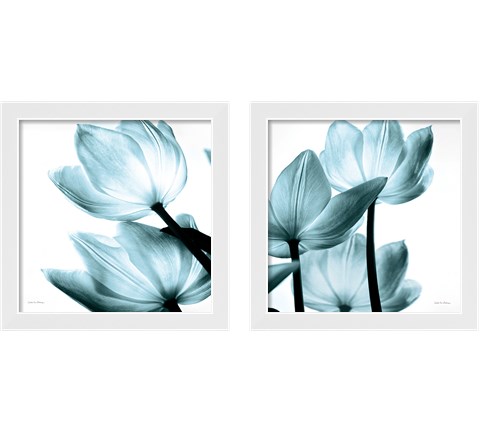 Translucent Tulips 2 Piece Framed Art Print Set by Debra Van Swearingen