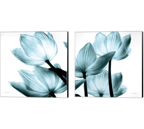 Translucent Tulips 2 Piece Canvas Print Set by Debra Van Swearingen