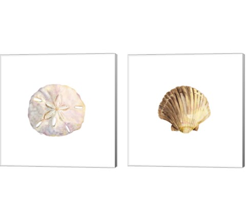 Oceanum Shells White 2 Piece Canvas Print Set by Tara Reed