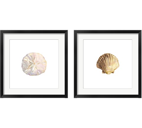 Oceanum Shells White 2 Piece Framed Art Print Set by Tara Reed
