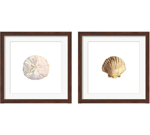 Oceanum Shells White 2 Piece Framed Art Print Set by Tara Reed