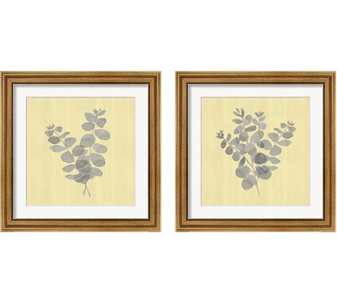 Natural Inspiration Eucalyptus Panel Gray & Yellow 2 Piece Framed Art Print Set by Tara Reed