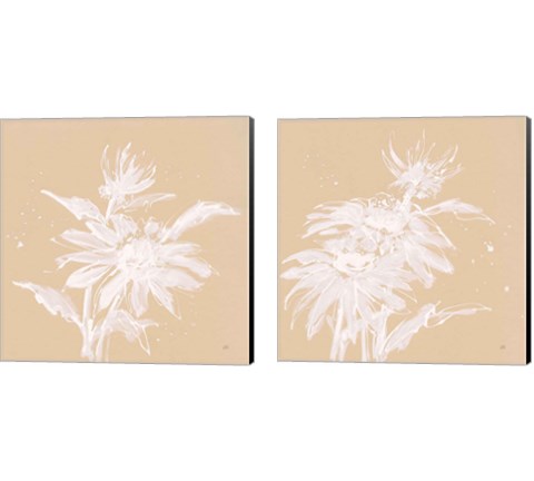 Echinacea  2 Piece Canvas Print Set by Chris Paschke