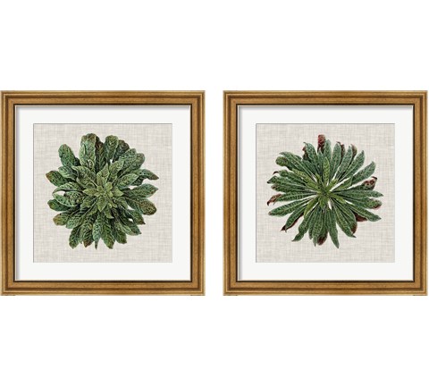 Spherical Leaves 2 Piece Framed Art Print Set by Vision Studio