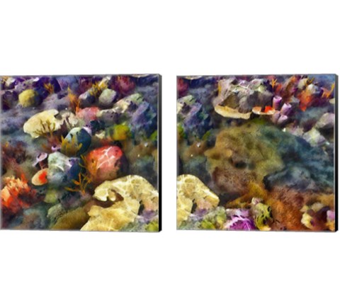 Sea Life 2 Piece Canvas Print Set by Alonzo Saunders