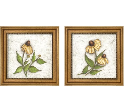 Bloomin' Coneflowers 2 Piece Framed Art Print Set by Mary Ann June