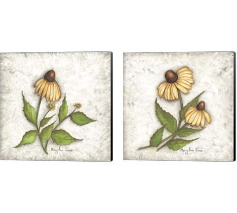 Bloomin' Coneflowers 2 Piece Canvas Print Set by Mary Ann June