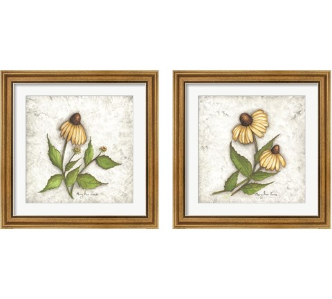 Bloomin' Coneflowers 2 Piece Framed Art Print Set by Mary Ann June
