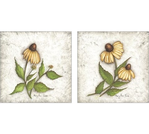 Bloomin' Coneflowers 2 Piece Art Print Set by Mary Ann June