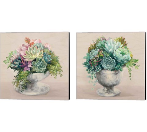 Festive Succulents Blush 2 Piece Canvas Print Set by Julia Purinton
