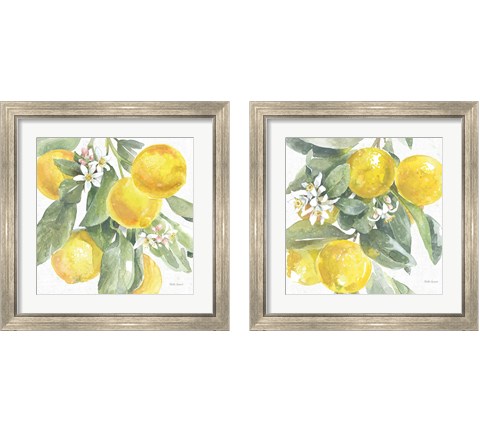 Citrus Charm Lemons 2 Piece Framed Art Print Set by Beth Grove