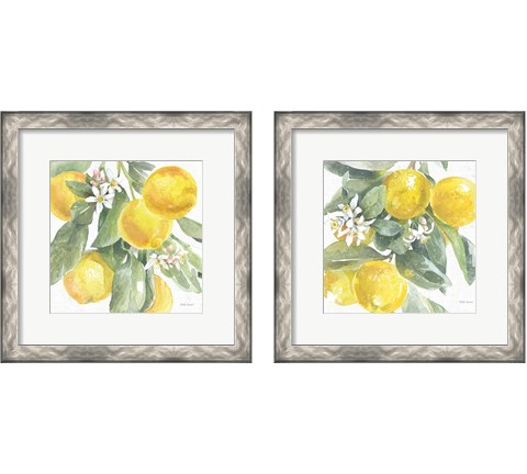 Citrus Charm Lemons 2 Piece Framed Art Print Set by Beth Grove
