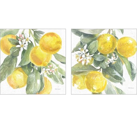 Citrus Charm Lemons 2 Piece Art Print Set by Beth Grove