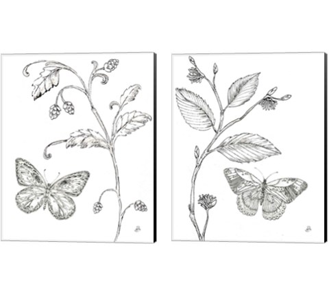 Outdoor Beauties Butterfly 2 Piece Canvas Print Set by Daphne Brissonnet
