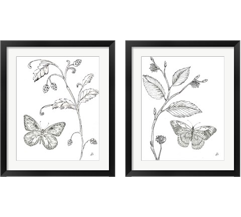 Outdoor Beauties Butterfly 2 Piece Framed Art Print Set by Daphne Brissonnet