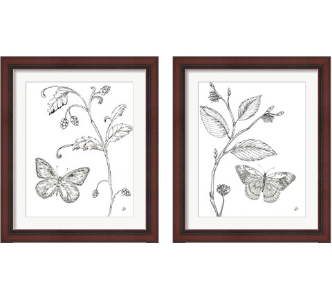 Outdoor Beauties Butterfly 2 Piece Framed Art Print Set by Daphne Brissonnet