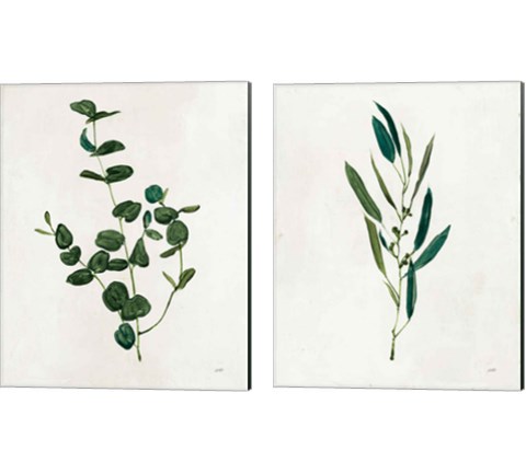 Botanical Study Greenery 2 Piece Canvas Print Set by Julia Purinton