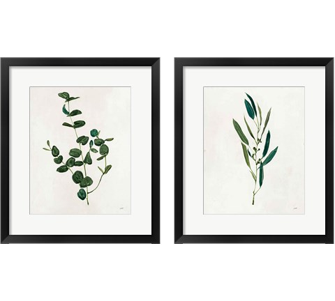 Botanical Study Greenery 2 Piece Framed Art Print Set by Julia Purinton