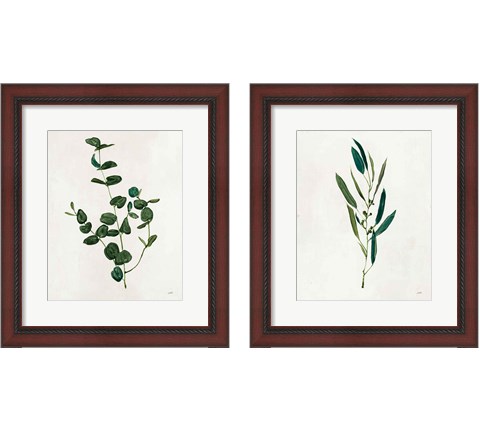 Botanical Study Greenery 2 Piece Framed Art Print Set by Julia Purinton
