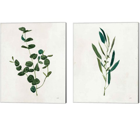 Botanical Study Greenery 2 Piece Canvas Print Set by Julia Purinton