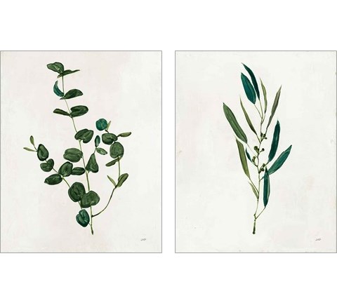 Botanical Study Greenery 2 Piece Art Print Set by Julia Purinton