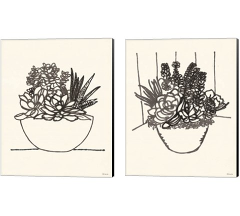 Succulent Basket 2 Piece Canvas Print Set by Stellar Design Studio