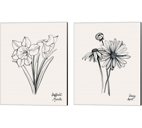 Annual Flowers 2 Piece Canvas Print Set by Grace Popp