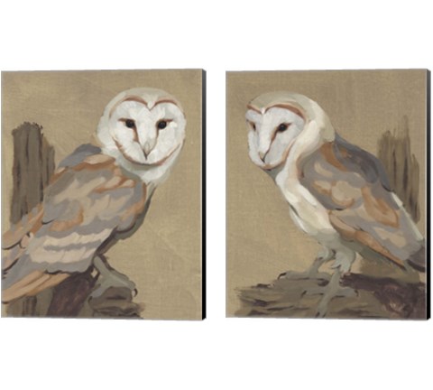 Common Barn Owl Portrait 2 Piece Canvas Print Set by Jacob Green