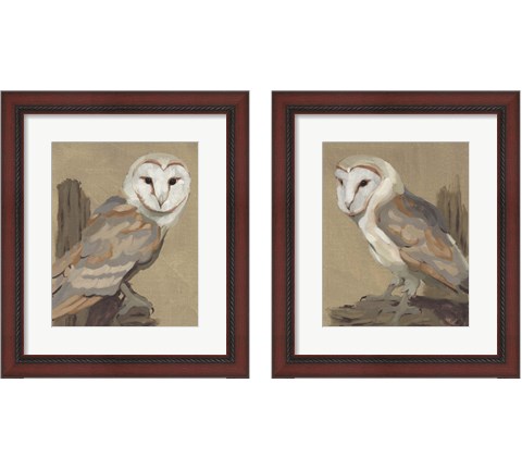 Common Barn Owl Portrait 2 Piece Framed Art Print Set by Jacob Green