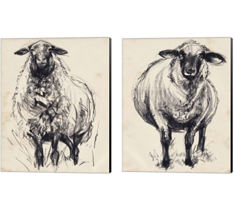 Charcoal Sheep 2 Piece Canvas Print Set by Jennifer Parker