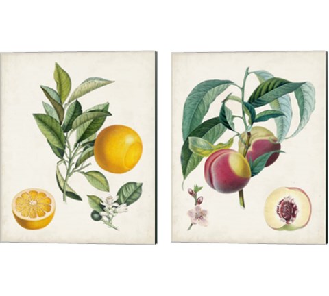 Vintage Fruit 2 Piece Canvas Print Set by Pierre-Antoine Poiteau