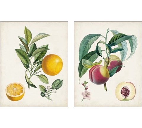 Vintage Fruit 2 Piece Art Print Set by Pierre-Antoine Poiteau