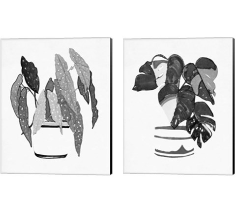 B&W Indoor Plant 2 Piece Canvas Print Set by Stellar Design Studio