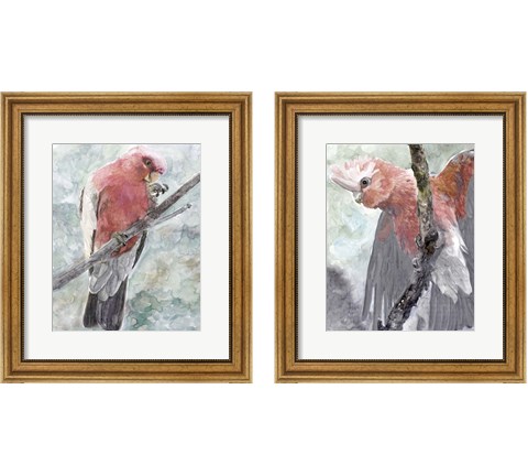 Tropic Parrot 2 Piece Framed Art Print Set by Stellar Design Studio
