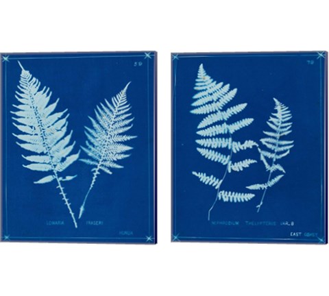 Cyanotype Ferns 2 Piece Canvas Print Set